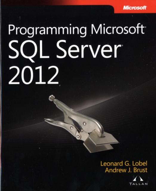 Programming Microsoft SQL Server 2012, Paperback / softback Book
