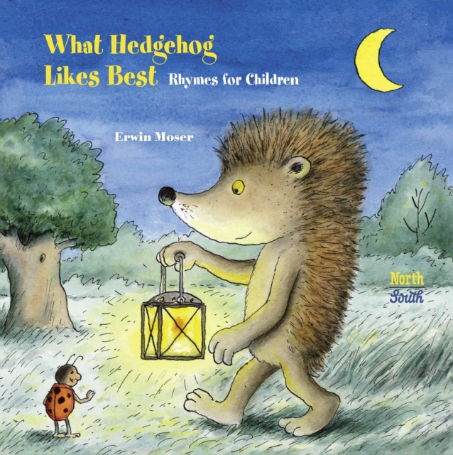 What Hedgehog Likes Best, Hardback Book
