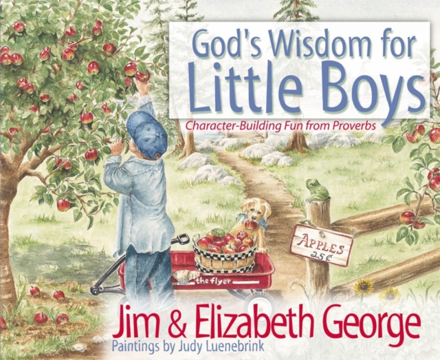 God's Wisdom for Little Boys : Character-building Fun from Proverbs, Hardback Book