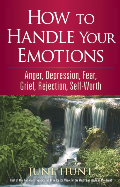 How to Handle Your Emotions : Anger, Depression, Fear, Grief, Rejection, Self-Worth, EPUB eBook