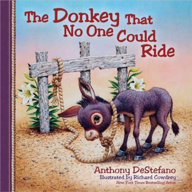 The Donkey That No One Could Ride, Hardback Book