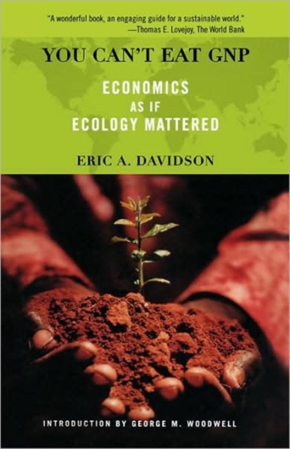 You Can't Eat GNP : Economics as if Ecology Mattered, Paperback / softback Book