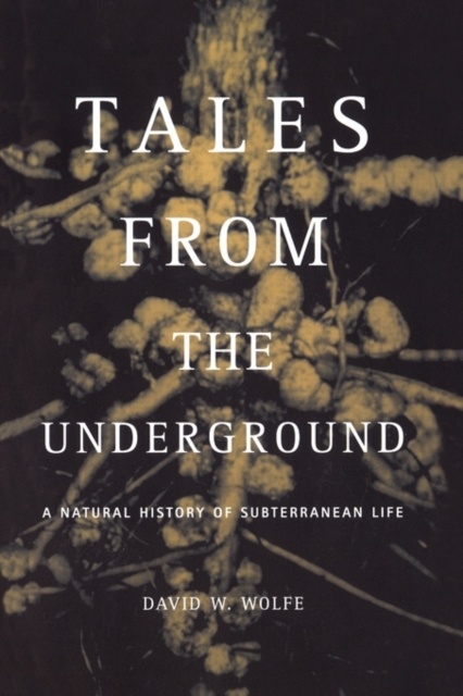 Tales From The Underground : A Natural History Of Subterranean Life, Paperback / softback Book