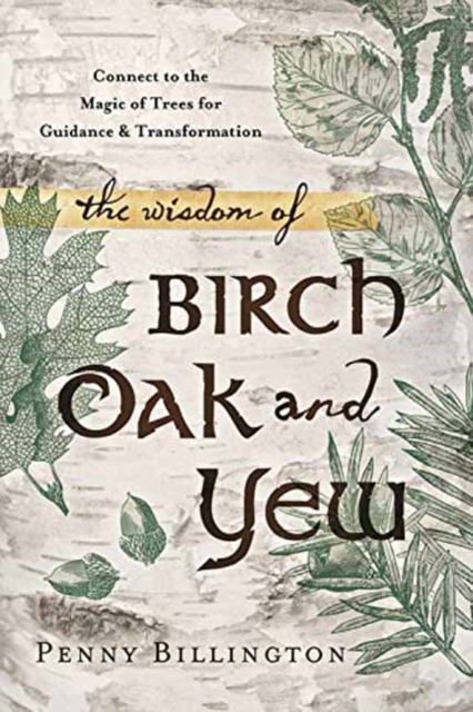 The Wisdom of Birch, Oak, and Yew : Connect to the Magic of Trees for Guidance and Transformation, Paperback / softback Book