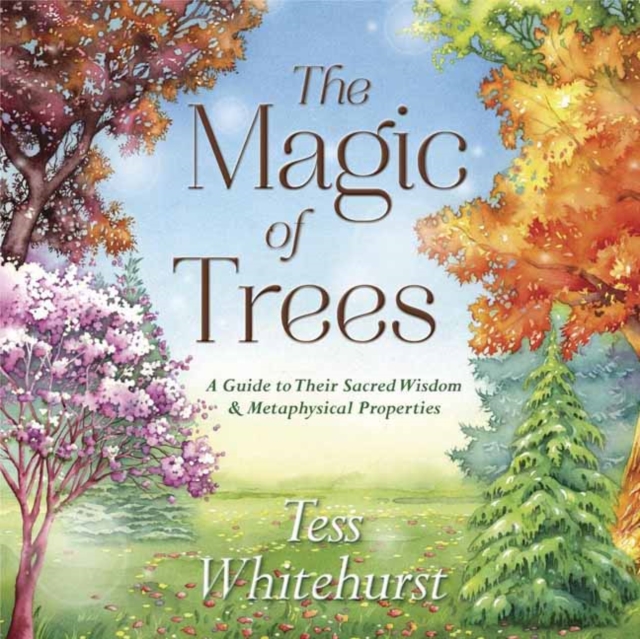 The Magic of Trees : A Guide to Their Sacred Wisdom and Metaphysical Properties, Paperback / softback Book