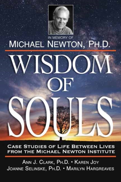 Wisdom of Souls : Case Studies of Life Between Lives from the Michael Newton Institute, Paperback / softback Book