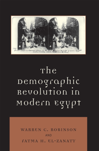 The Demographic Revolution in Modern Egypt, Paperback / softback Book