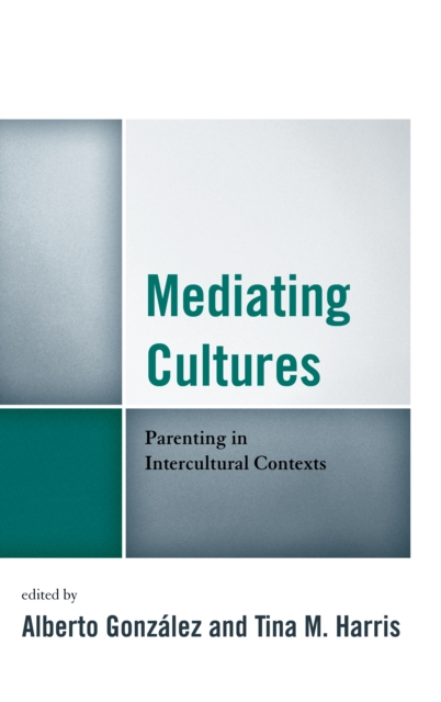 Mediating Cultures : Parenting in Intercultural Contexts, EPUB eBook