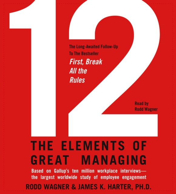 12 : The Elements of Great Managing, eAudiobook MP3 eaudioBook