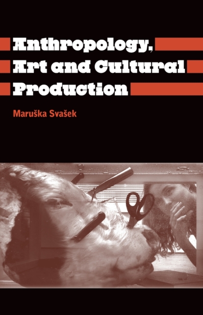 Anthropology, Art and Cultural Production, Paperback / softback Book