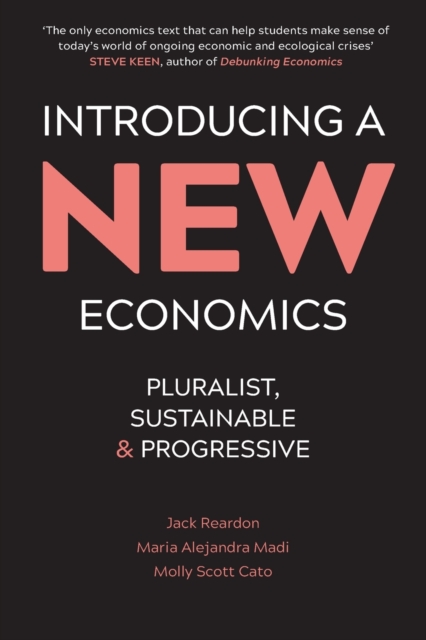 Introducing a New Economics : Pluralist, Sustainable and Progressive, Paperback / softback Book