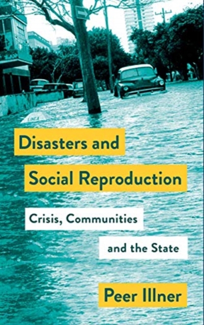 Disasters and Social Reproduction : Crisis Response between the State and Community, Paperback / softback Book