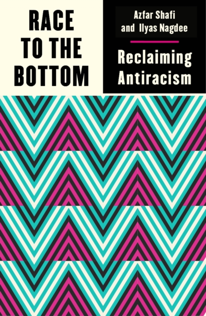 Race to the Bottom : Reclaiming Antiracism, EPUB eBook