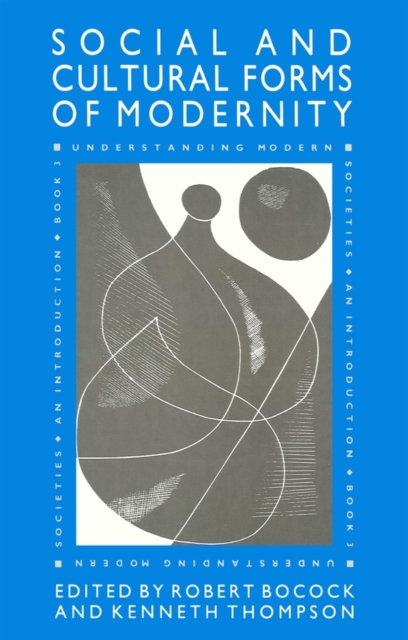 The Social and Cultural Forms of Modernity : Understanding Modern Societies, Book III, Paperback / softback Book