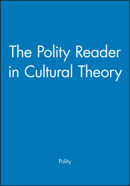 The Polity Reader in Cultural Theory, Paperback / softback Book