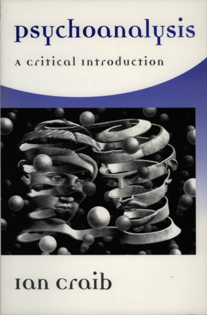 Psychoanalysis : A Critical Introduction, Paperback / softback Book