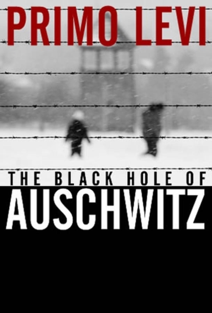 The Black Hole of Auschwitz, Hardback Book