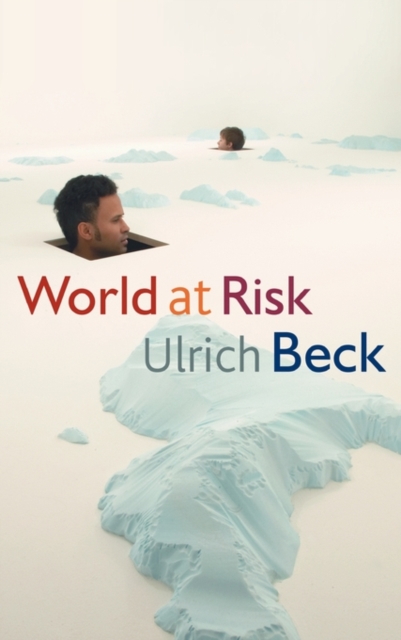 World at Risk, Hardback Book