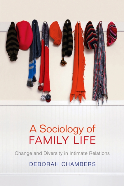 A Sociology of Family Life, Paperback / softback Book
