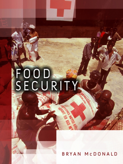 Food Security, Paperback / softback Book
