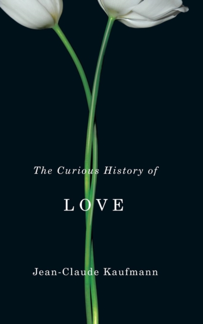 The Curious History of Love, Hardback Book