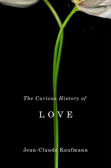 The Curious History of Love, Paperback / softback Book