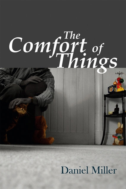 The Comfort of Things, EPUB eBook