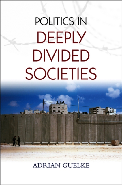 Politics in Deeply Divided Societies, EPUB eBook