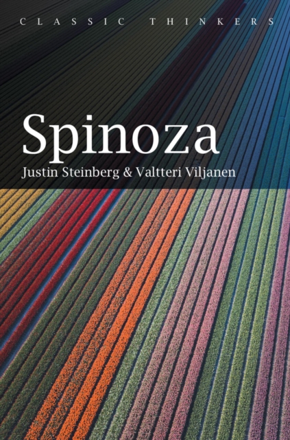 Spinoza, Hardback Book