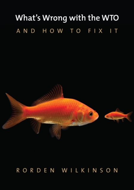 What's Wrong with the WTO and How to Fix It, Paperback / softback Book
