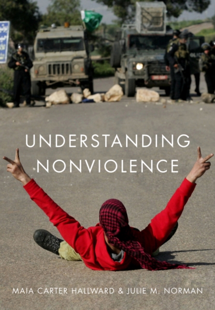 Understanding Nonviolence, Hardback Book