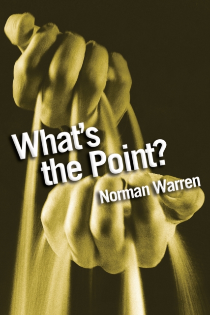 What's the Point? : Finding answers to life's questions, Paperback / softback Book