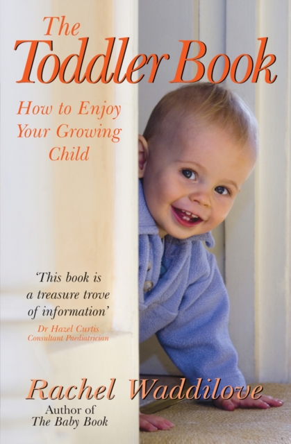 The Toddler Book : How to enjoy your growing child, Paperback / softback Book