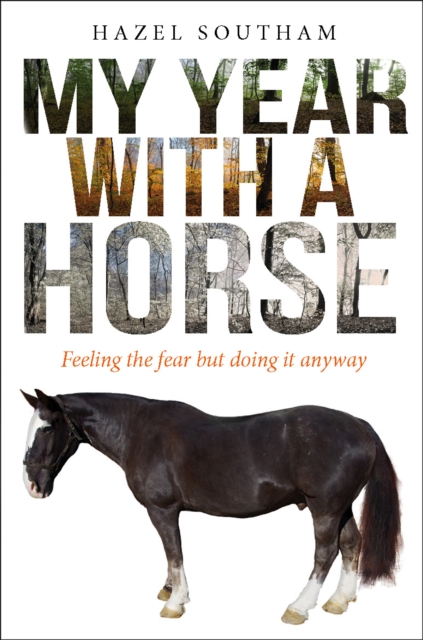 My Year With a Horse : Feeling the fear but doing it anyway, Paperback / softback Book