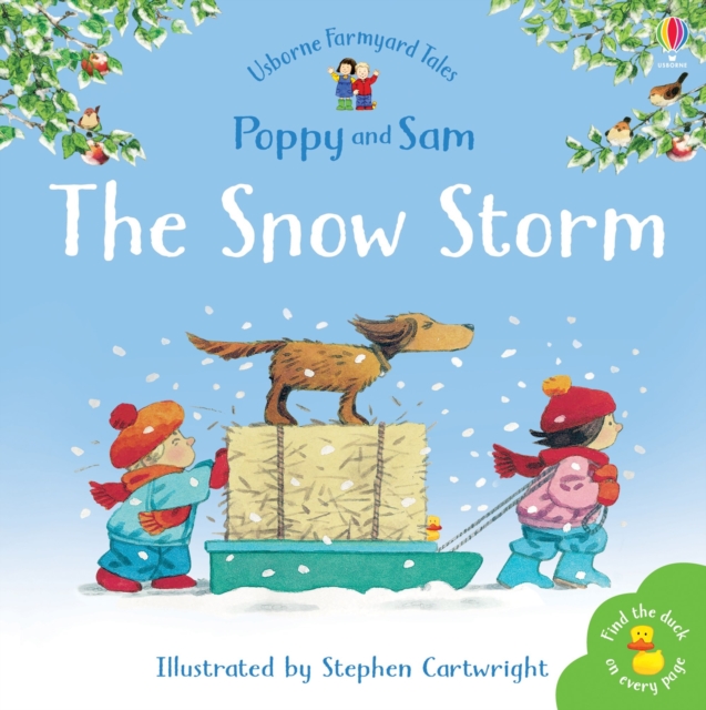 The Snow Storm, Paperback / softback Book
