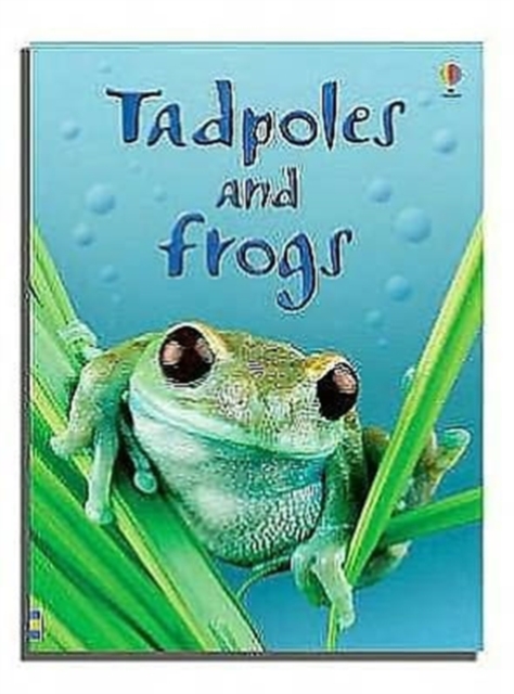 Tadpoles and Frogs, Hardback Book
