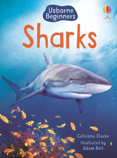 Sharks, Hardback Book