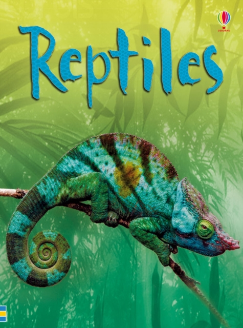Reptiles, Paperback / softback Book