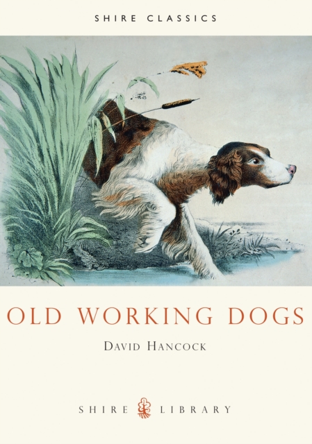 Old Working Dogs, Paperback / softback Book