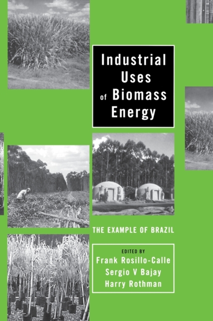Industrial Uses of Biomass Energy : The Example of Brazil, Hardback Book