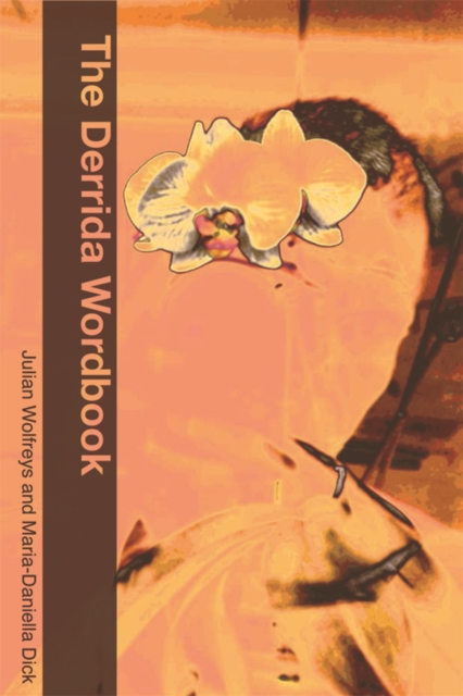 The Derrida Wordbook, Paperback / softback Book