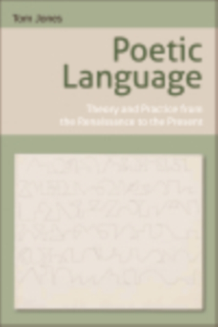 Poetic Language : Theory and Practice from the Renaissance to the Present, EPUB eBook
