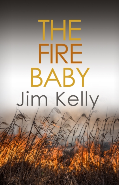 The Fire Baby : Secrets and murder flourish in Cambridgeshire, Paperback / softback Book