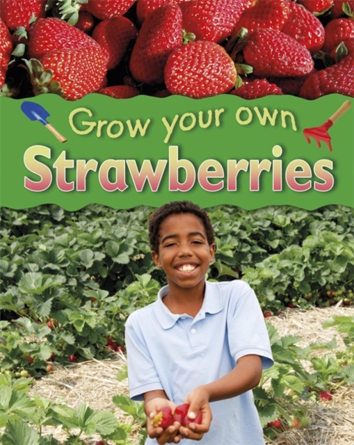 Strawberries, Hardback Book