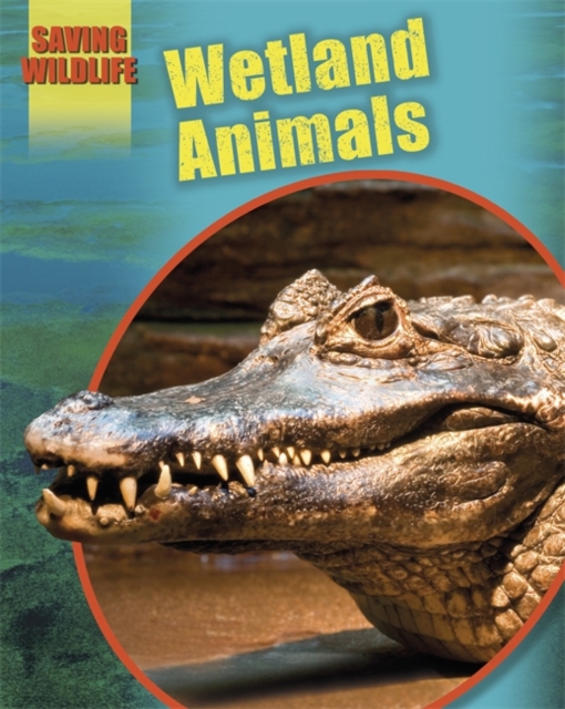 Wetland Animals, Hardback Book