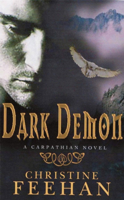 Dark Demon : Number 16 in series, Paperback / softback Book