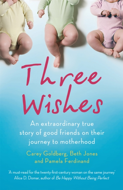 Three Wishes : An extraordinary true story of good friends on their journey to motherhood, Paperback / softback Book