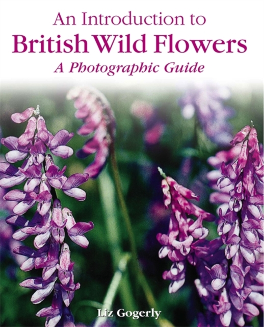 An Introduction to: British Wild Flowers, Hardback Book