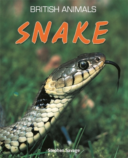 British Animals: Snake, Paperback Book