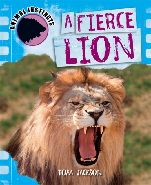 A Fierce Lion, Paperback Book